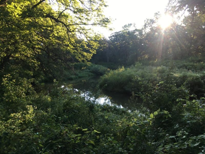 So thankful for the Good Shepherd