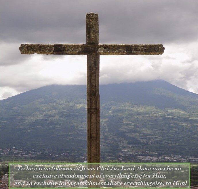 Reading the New Testament in the brand new year?