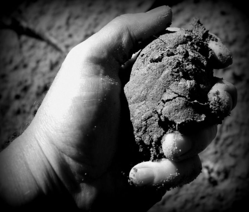 The Soil of Our Hearts