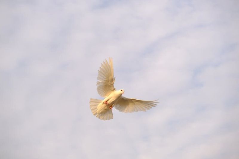 Desiring the Spirit of God