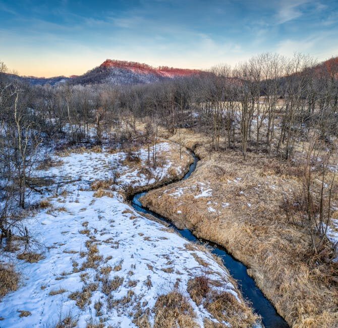 The Christ Child who came for us ...