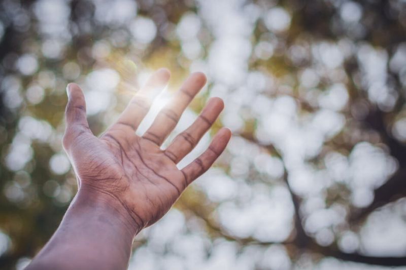 The Compassion of Jesus