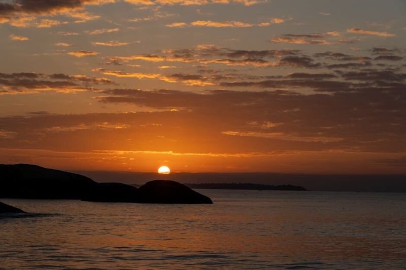 The purity of an honest heart.