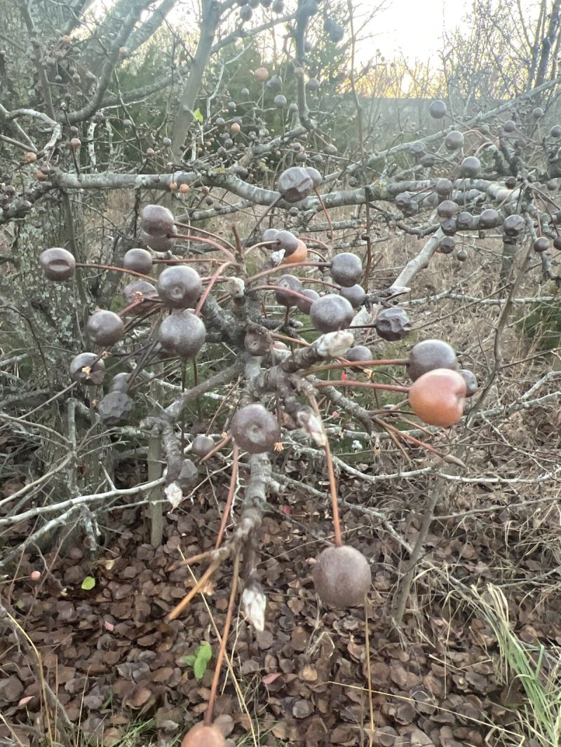 Hypocrisy is Not a New Thing