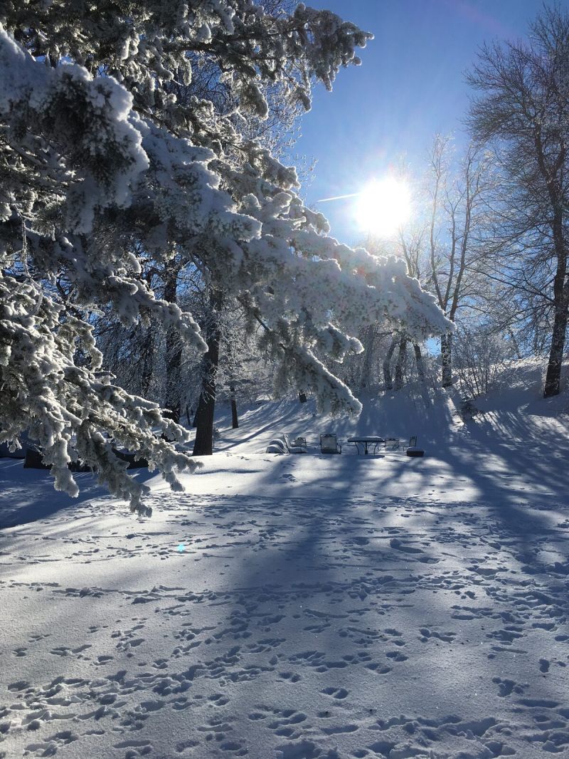 A Simple Prayer in the Unexpected Return of Winter