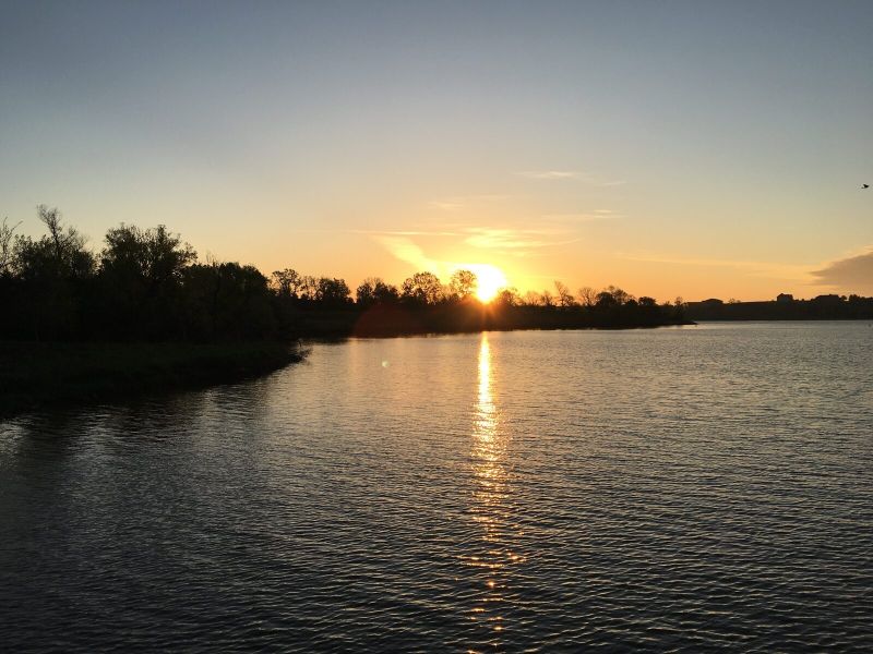 Suffering that Heals