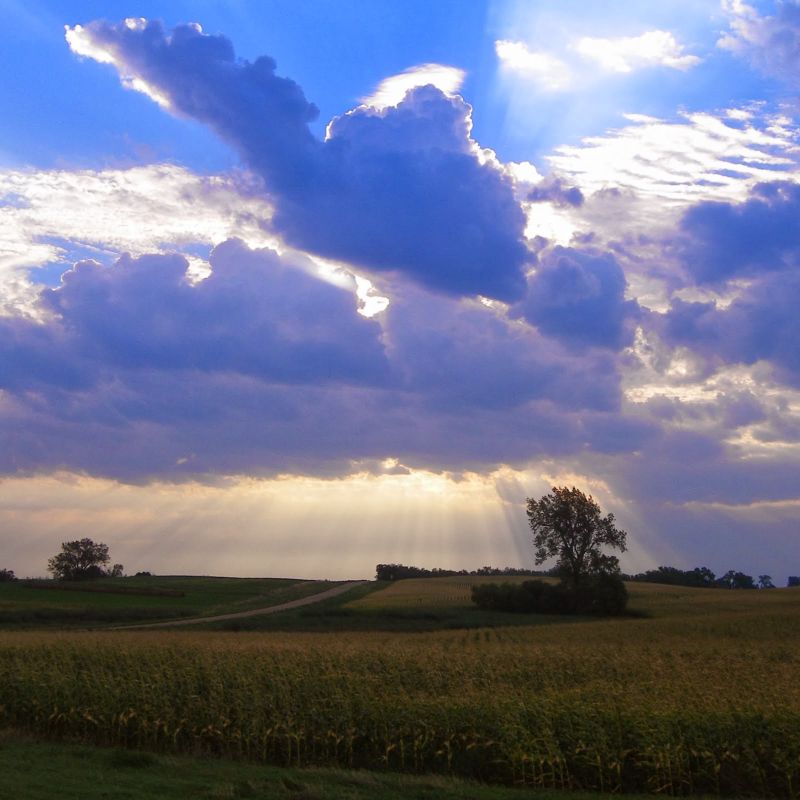 This "Thank God Day"