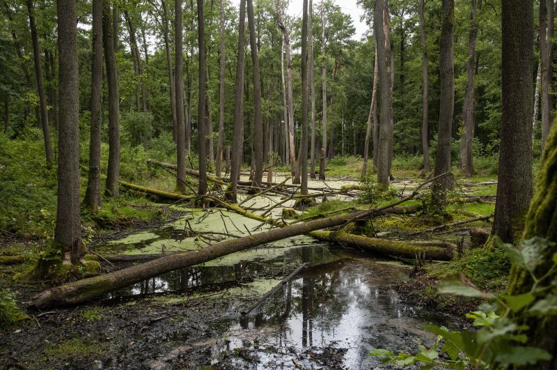 Out of the Pit and into His Hand